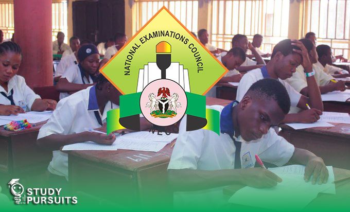 How to Divide NECO Syllabus into Daily Study Plans