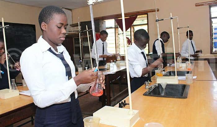 How Schools Help Students Prepare for NECO Specimen